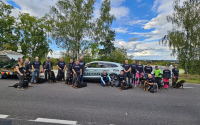 Festumzug 800 Jahre Stadt Kamenz am 14.09.25