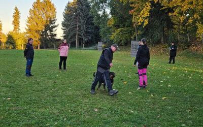 Flutlichtpokal „Gottfried Träber“ am 18.10.25 in Kamenz