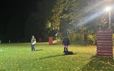 Flutlichtpokal „Gottfried Träber“ am 24.10.26 in Kamenz